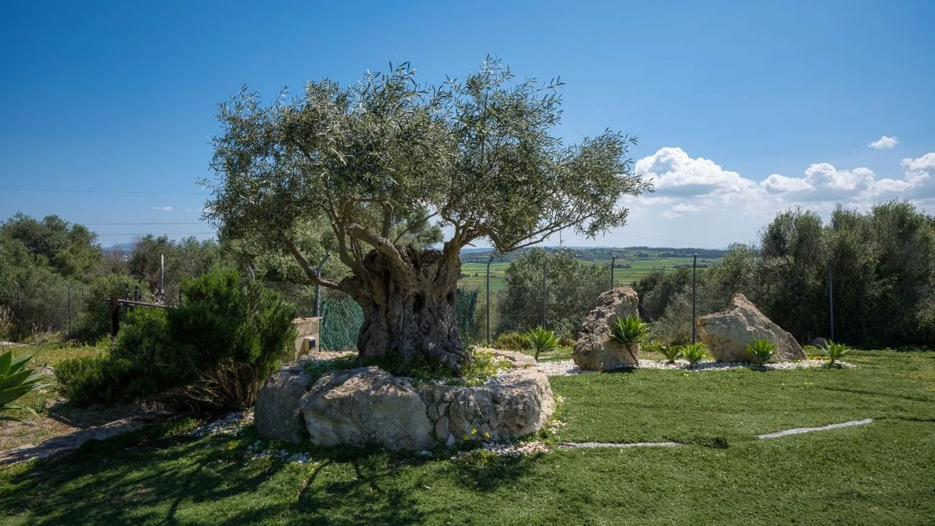 Finca Son Geronio 6 Pax 무로 빌라